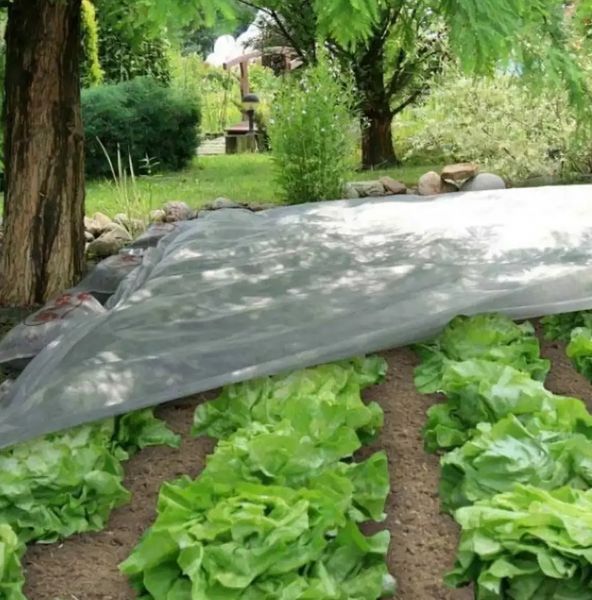 Агроволокно 50 г/м² 2,1х 100м "Shadow" (Чехия) 4% плотный белый спанбонд в рулонах для растений АВБР000291 фото