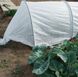 Агроволокно 30 г/м² 8,5 х100м спанбонд белый укрывной в рулоне "Shadow" (Чехия) 4% для теплиц, огорода АВБР00023 фото 6