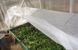 Агроволокно 15м 50 г/м² плотности готовое прошитое полотно для теплицы парника ПОЛОТ00021 фото 5