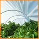 Парник 4 м 42 г/м2 "Агро-Лидер" для рассады овощей, дачная разборная теплица из спанбонда ПАВ00002 фото 8