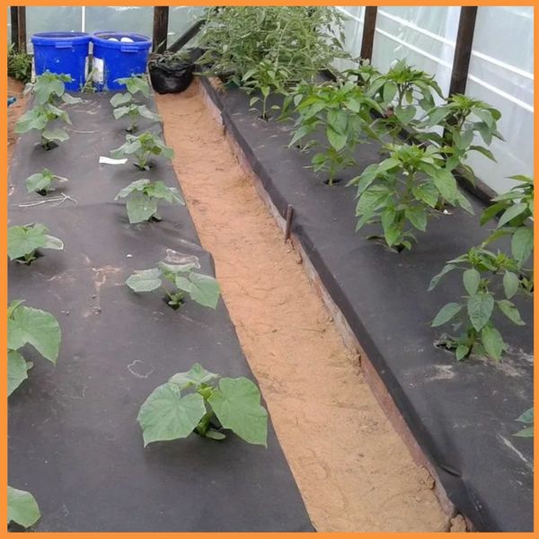 Агроволокно 50 г/м² 1,07 х 100м Shadow (Чехия) 4% Термоизоляционные настилы для растений АВЧР00003 фото