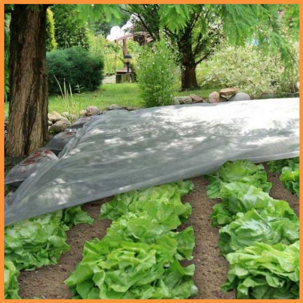 Агроволокно 17 г/м2 3,2 х100м "Shadow" (Чехия) спанбонд, укрывной материал для огорода АВБР00002 фото