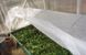 Агроволокно 8м 42 г/м² плотности готовое сменное полотно для парника ПОЛОТ00011 фото 5